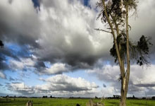 爱游戏体育官网-包含葡萄牙队轻取奥地利队，波尔惊艳四座的词条