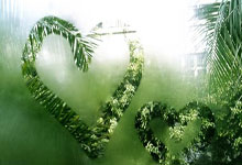 爱游戏体育官网-包含葡萄牙队轻取奥地利队，波尔惊艳四座的词条