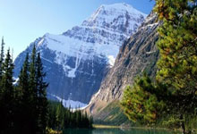 爱游戏体育官网-包含葡萄牙队轻取奥地利队，波尔惊艳四座的词条