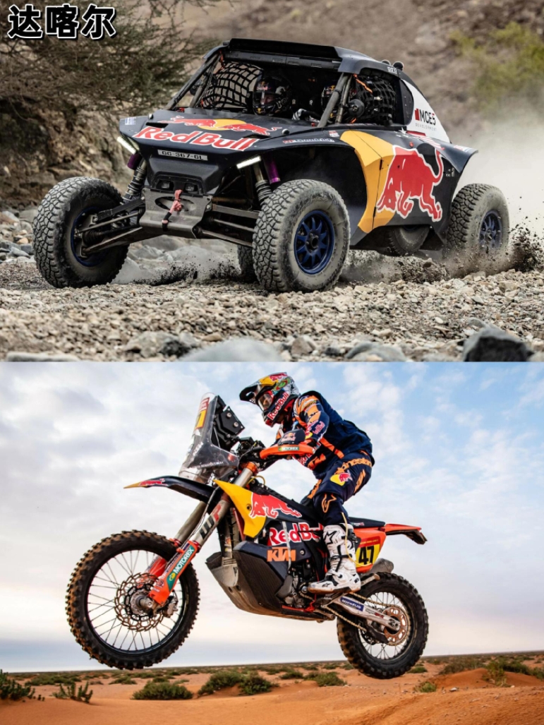 包含红牛二队逆转雷诺车队，诺里斯统治全场的词条