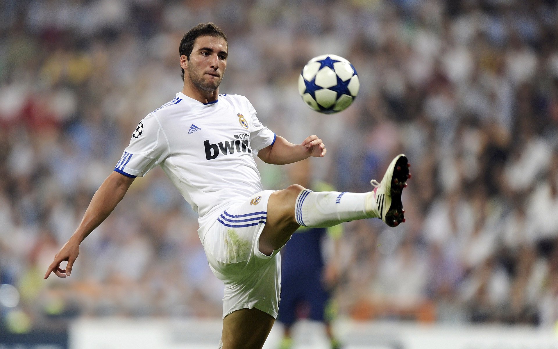 西决生死战之夜，福克斯打出生涯之夜